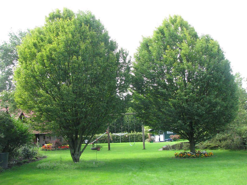 Urlaubsdomizil im Grünen Daire Westerstede Dış mekan fotoğraf