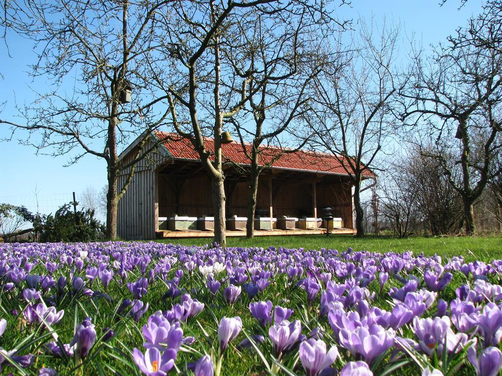 Urlaubsdomizil im Grünen Daire Westerstede Dış mekan fotoğraf